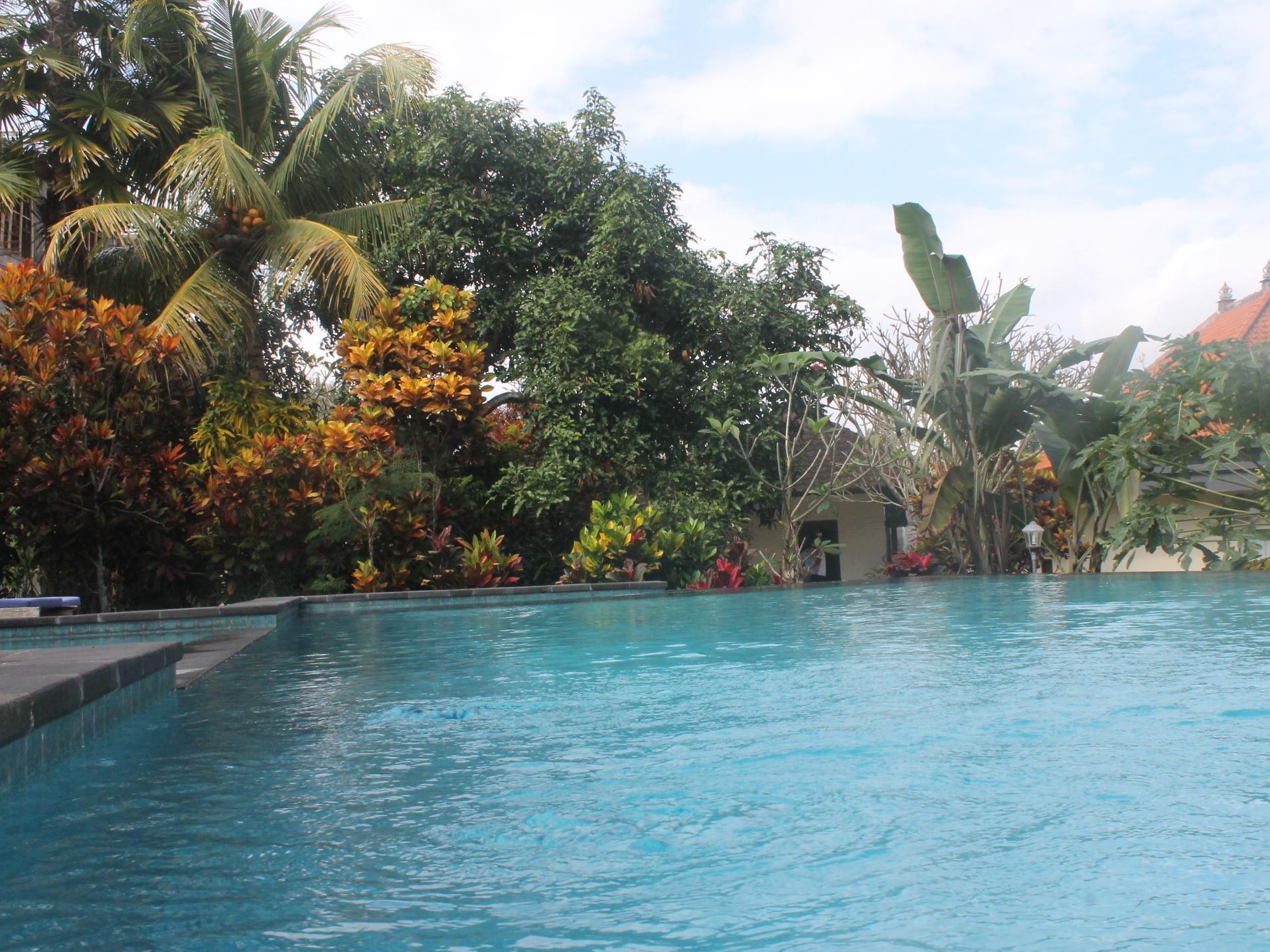 Agung Trisna Bungalows Убуд Экстерьер фото